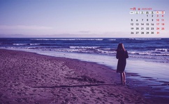 久久久这里只有精品免费